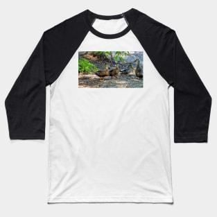 A Crested Mallard Duck Baseball T-Shirt